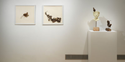 Two leaf sculptures cast in brass are mounted on two framed canvases. To the right, a polished bust of a man from Hunza wearing a cap with a brass shanti tops a thin rod puncturing a piece of wood. A large leaf cast in brass sits next to the bust, and is mounted on a steel rod protruding from a natural found, rectangular wooden base.