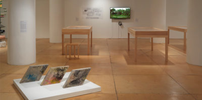 An installation photograph of the gallery space. A sculpture of three rhombus-shaped sculptures are positioned on the floor. In the background, there are three wooden and glass vitrines. On the wall behind the vitrines, a T.V is playing a video of green plants.