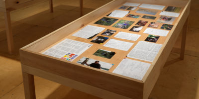 A photograph angled downward of a wooden and glass vitrine. Inside the virtine are an assortment of square and rectangle documents, photographs, and handwritten notes.