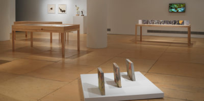 An installation photograph of the gallery space. A sculpture of three rhombus-shaped sculptures are positioned on the floor. In the background, there are three wooden and glass vitrines. On the wall behind the vitrines, a T.V is playing a video of green plants. On the left side of the wall, are two small-scale sculptures. One of the sculptures is of a face with a hat on. Beside the two sculptures is another didactic set of framed photographs with an abstracted design, situated in a white, square, frame.