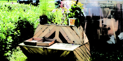 A photograph of a thick wooden bench with a pot for plants on the top. Three different types of plants are planted inside with yellow flowers. The bench is placed in a garden. A middle-aged person is crouched behind the wooden bench.