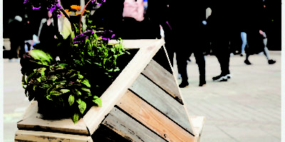 A photograph of a rectangular wooden structure with planted flowers. The rectangular wooden sculpture is leaning at a diagonal angle. Four different plants are seated including a green leaf plant, a purple flower, and an orange flour.