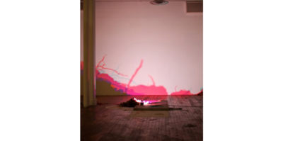 A installation photograph of a light sculpture placed on the gallery floor, reflecting an image to the wall in front of it. The light image projected on the wall takes the form of leaves and branches.Extending across the entire bottom of the full wall, the colors flow from a gradient from dark purple, pink, and light blue.