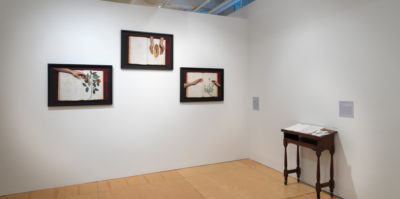 An installation photograph of two, white gallery walls that meet in a corner. On the left wall, a tryptic of three photographs of identical size and black frame are played in a horizontal line. Each photograph is of a pair of hands reaching into an open book. Each book has a different floral design. On the right wall is a small, dark, wooden desk about two feet wide. An open book with white pages is placed on the desk.