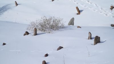 Snow-covered ground.